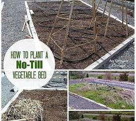 how to plant a no till garden have a lot less weeds, gardening, homesteading, how to, raised garden beds