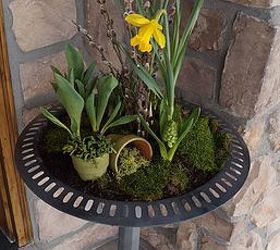 plant a spring blooming birdbath, container gardening, flowers, gardening