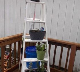 ladder herb garden, container gardening, gardening, repurposing upcycling