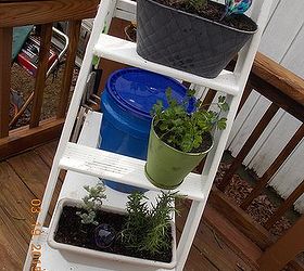 ladder herb garden, container gardening, gardening, repurposing upcycling