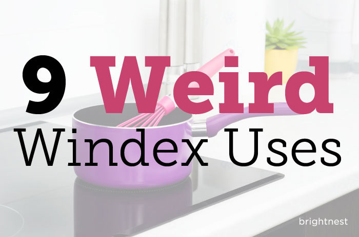 9 maneiras estranhas de usar windex em casa