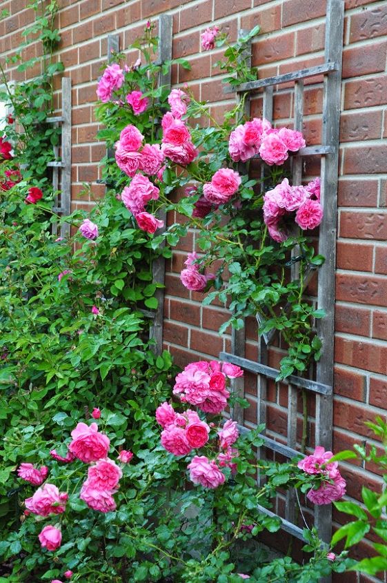 Gardening Ideas For The Narrow Garden Between Suburban Homes Hometalk More Ideas For The Narrow E Between Suburban Homes Concrete Masonry Gardening Landscape
