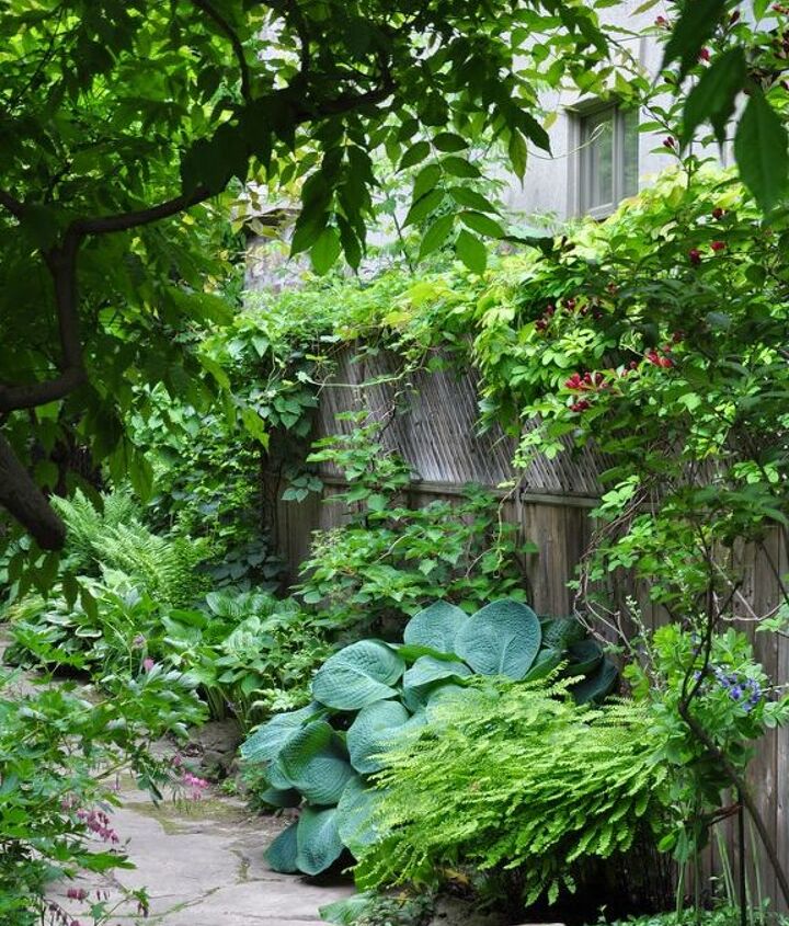 more ideas for the narrow space between suburban homes concrete masonry gardening landscape