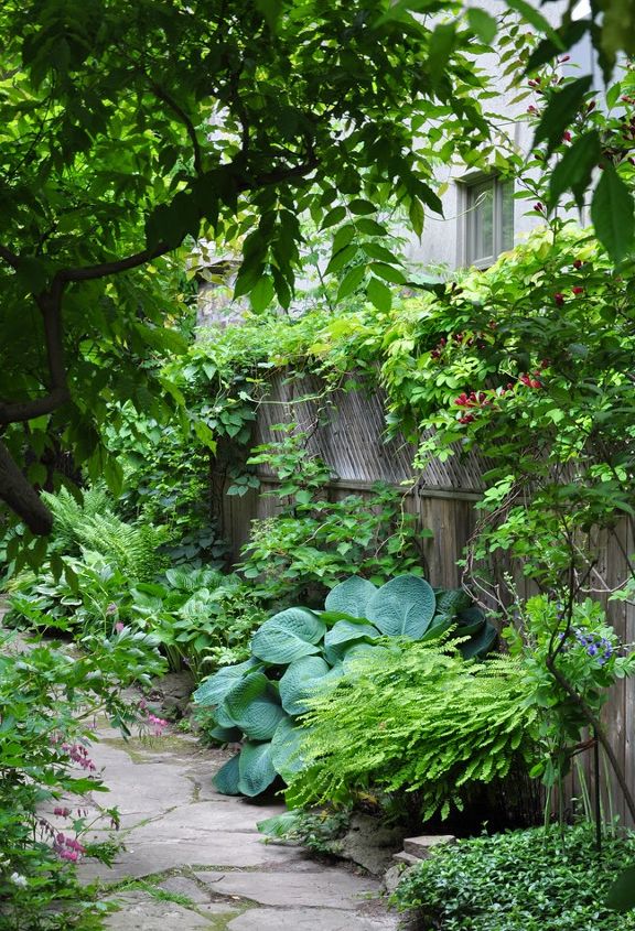 mais ideias para o jardim estreito entre casas suburbanas