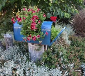 make a garden planter from a mailbox, container gardening, flowers, gardening, repurposing upcycling