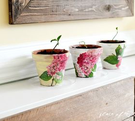 decoupaged terra cotta pots, container gardening, crafts, decoupage, gardening, home decor, how to