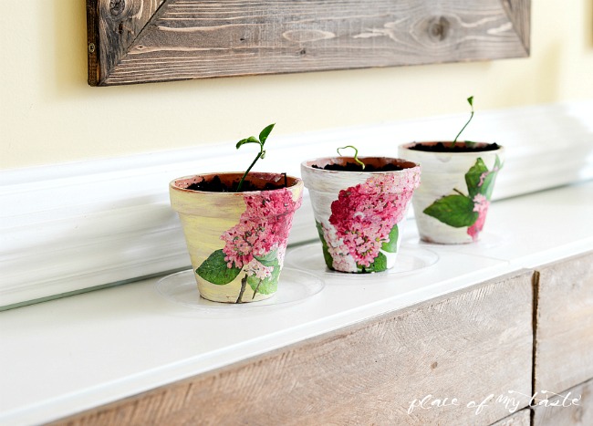 decoupaged terra cotta pots, container gardening, crafts, decoupage, gardening, home decor, how to