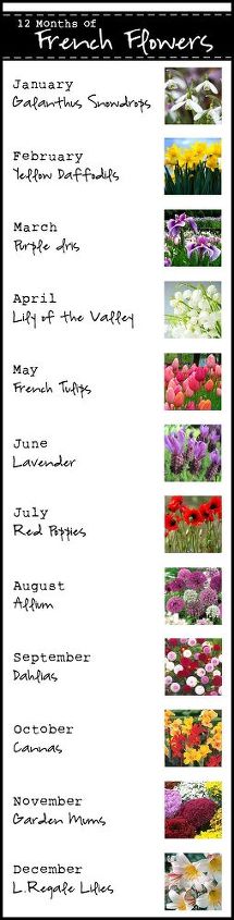 12 months of french flowers, flowers, gardening