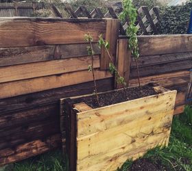 upright pallet raised beds, container gardening, gardening, pallet, raised garden beds, repurposing upcycling
