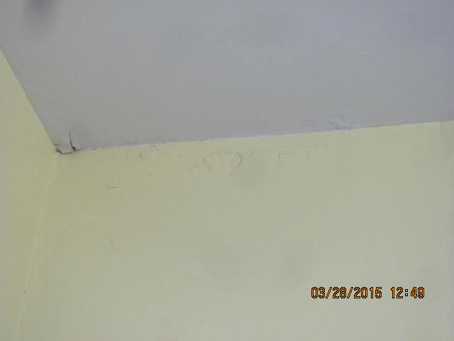 cmo puedo reparar la pintura descascarada en el techo y las paredes, lo mismo pero tirado hacia atr s para mostrar la cantidad de peladuras es una foto m s clara porque el flash se fue