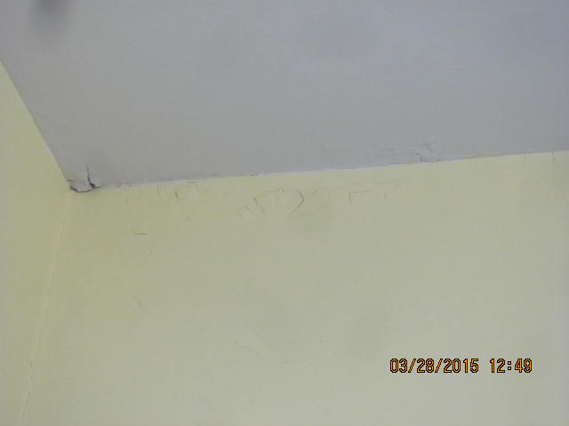How To Repair Peeling Paint On Ceiling And Walls Hometalk