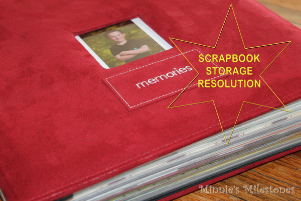 scrapbook storage resolution, home decor, repurposing upcycling, shabby chic, storage ideas