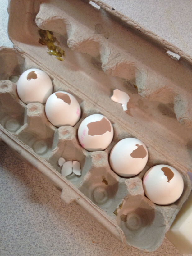 velas de ovo