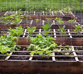 see our top tips to liven up your soil and grow your best veggies yet, gardening, homesteading