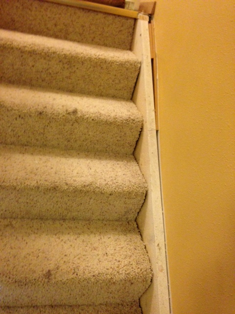 skirt board on stairs all screwed up under the carpeting