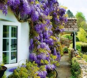 5 statement projects to help your house stand out in a good way, curb appeal, doors, flowers, gardening, paint colors, painting, Best gardenfertilizer com via Pinterest