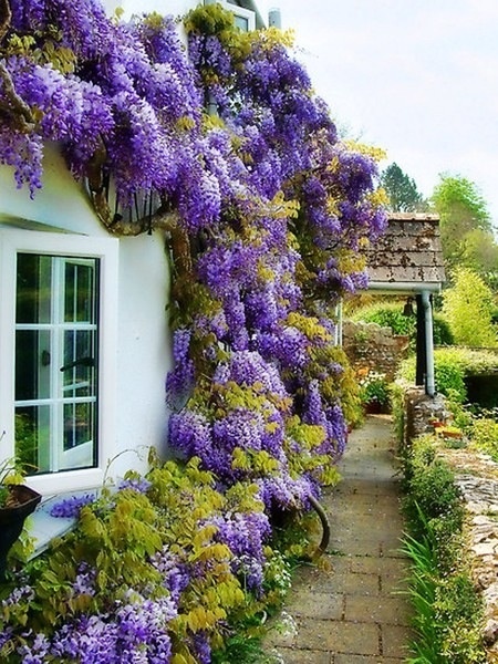 5 proyectos de gran envergadura para que su casa destaque en el buen sentido, Best gardenfertilizer com v a Pinterest