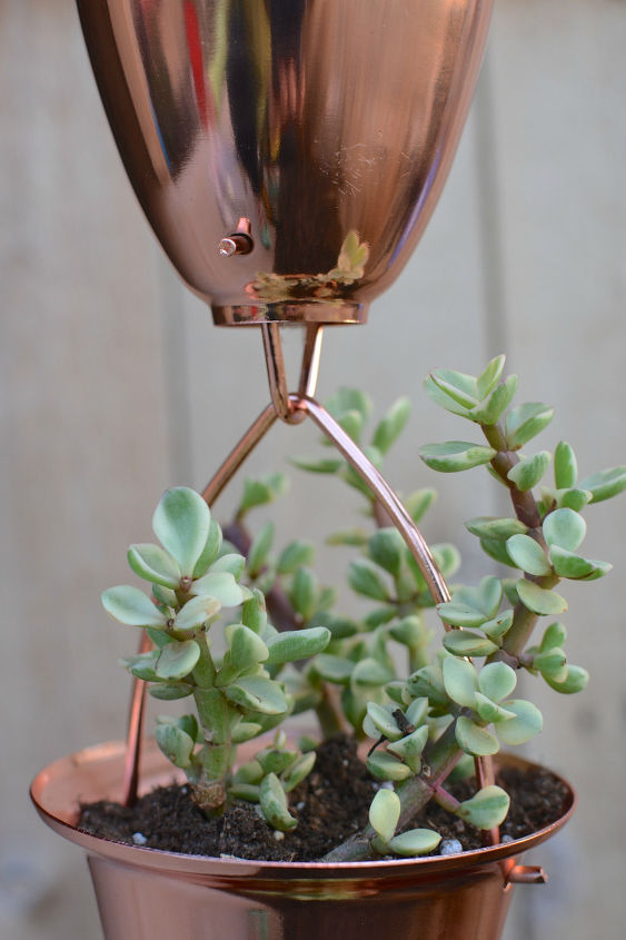 copper rain chain succulent planter, container gardening, gardening, outdoor living, repurposing upcycling, succulents