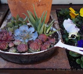 don t toss those old pots and pans turn them into succulent planters, container gardening, flowers, gardening, repurposing upcycling, succulents