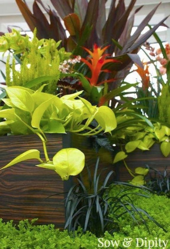 14 designer planter ideas
