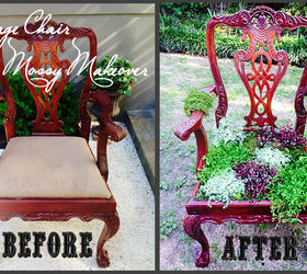 diy vintage chair gets a mossy makeover, container gardening, flowers, gardening, painted furniture, repurposing upcycling, succulents