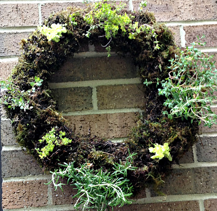 how to make a living herbal wreath, crafts, gardening, how to, wreaths