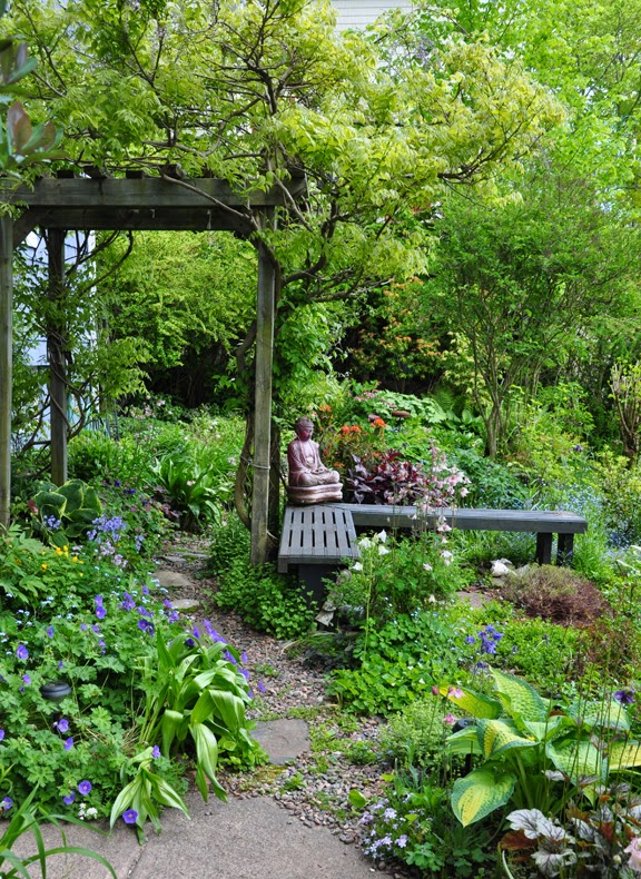 jacquie s amazing spring garden, flowers, gardening, perennial