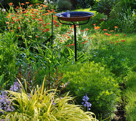jacquie s amazing spring garden, flowers, gardening, perennial