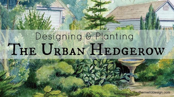 the urban hedgerow, gardening, landscape, lawn care