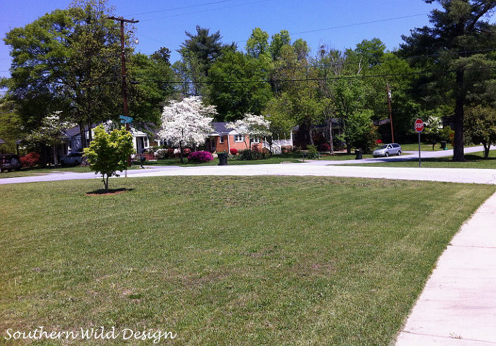 the urban hedgerow, gardening, landscape, lawn care