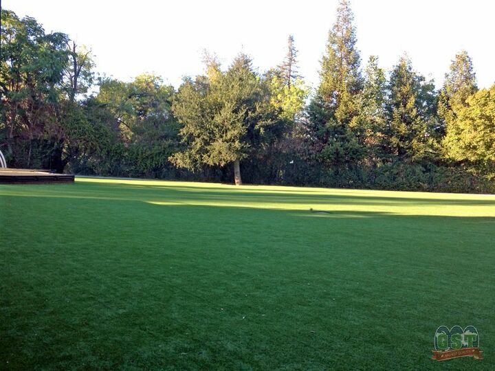 global syn turf artificial grass in woodside ca, landscape, lawn care