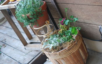 Salvaged Wicker Basket Turned Planter