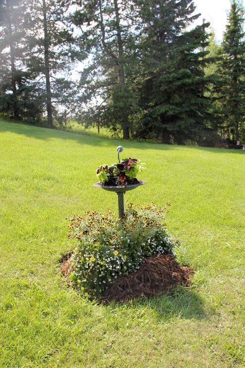 diy hide your septic tank, curb appeal, gardening, landscape, outdoor living