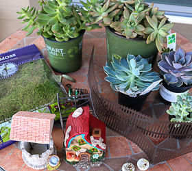 succulent fairy garden, container gardening, flowers, gardening, how to, succulents