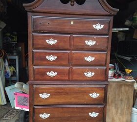 bird aviary from what, Before