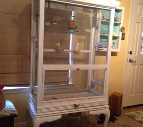 bird aviary from what, After tore apart