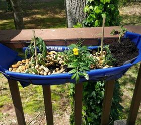 window box cheap hack, container gardening, gardening, repurposing upcycling, add plants and mulch