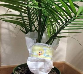 put your baby plants in diapers, gardening, home decor, repurposing upcycling