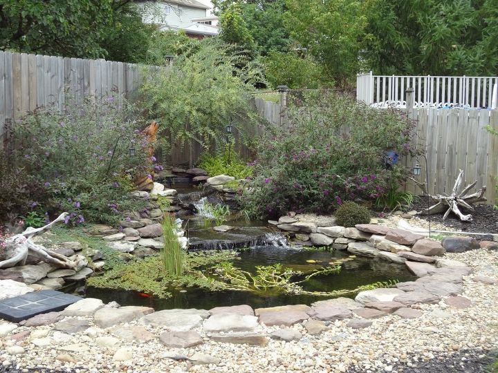 my water garden i always wanted and visioned it i finally made it, diy, gardening, landscape, ponds water features