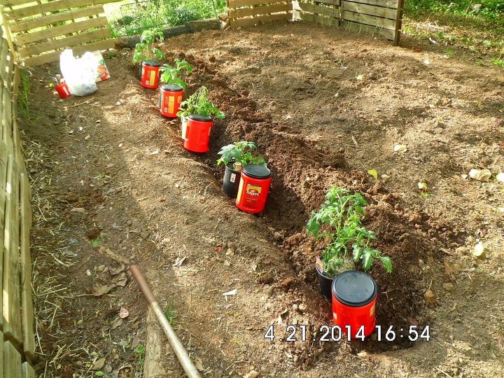 tomate companion planting, Haz agujeros en el fondo y en los lados