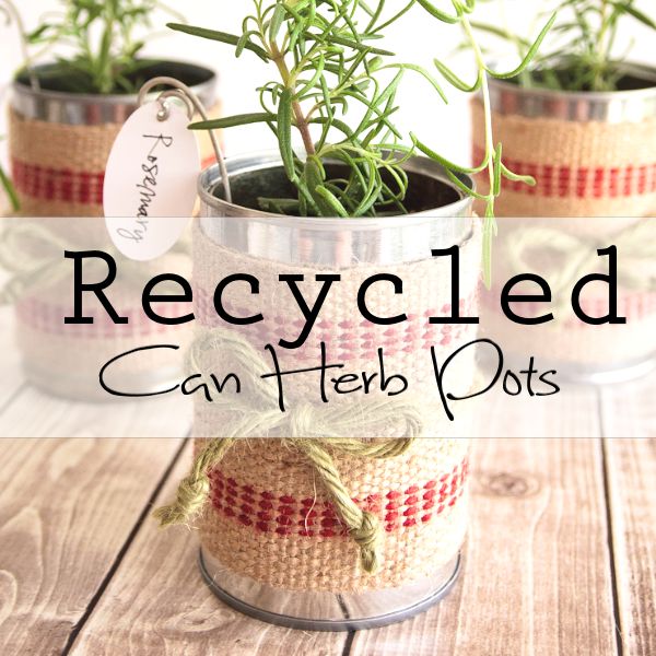 vasos de ervas de lata reciclados