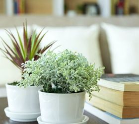 houseplants a room by room guide, container gardening, flowers, gardening, home decor