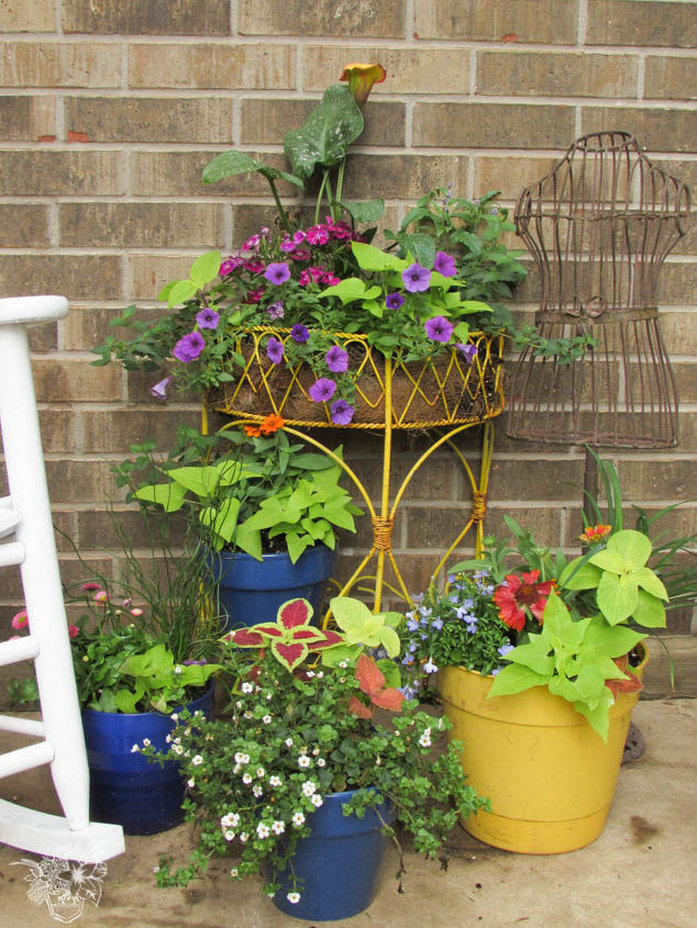 the secret to perfectly composed planters, container gardening, flowers, gardening, porches