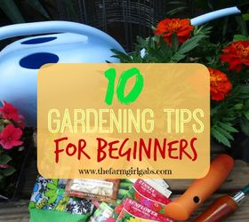10 gardening tips for beginners, container gardening, flowers, gardening, homesteading