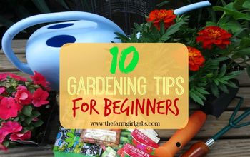  10 dicas de jardinagem para iniciantes