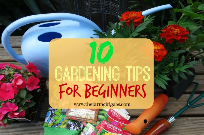 10 consejos de jardineria para principiantes