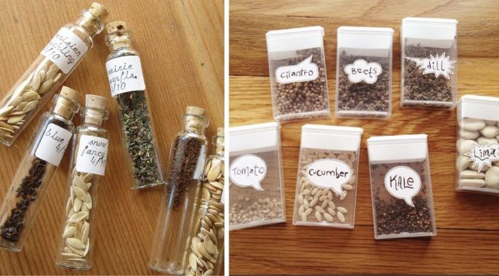 ideias de armazenamento de sementes