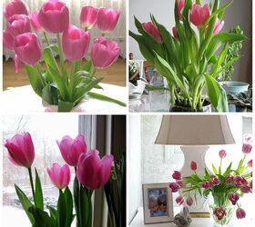 color crush on tulips, flowers, gardening, home decor, paint colors, painting, reupholster, wall decor, Just Pink Tulips