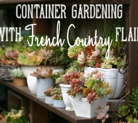 container gardening with french country flair, container gardening, flowers, gardening, outdoor living, repurposing upcycling