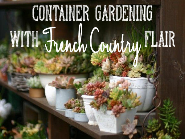 Container Garden French Country Easy Urban Container Gardening